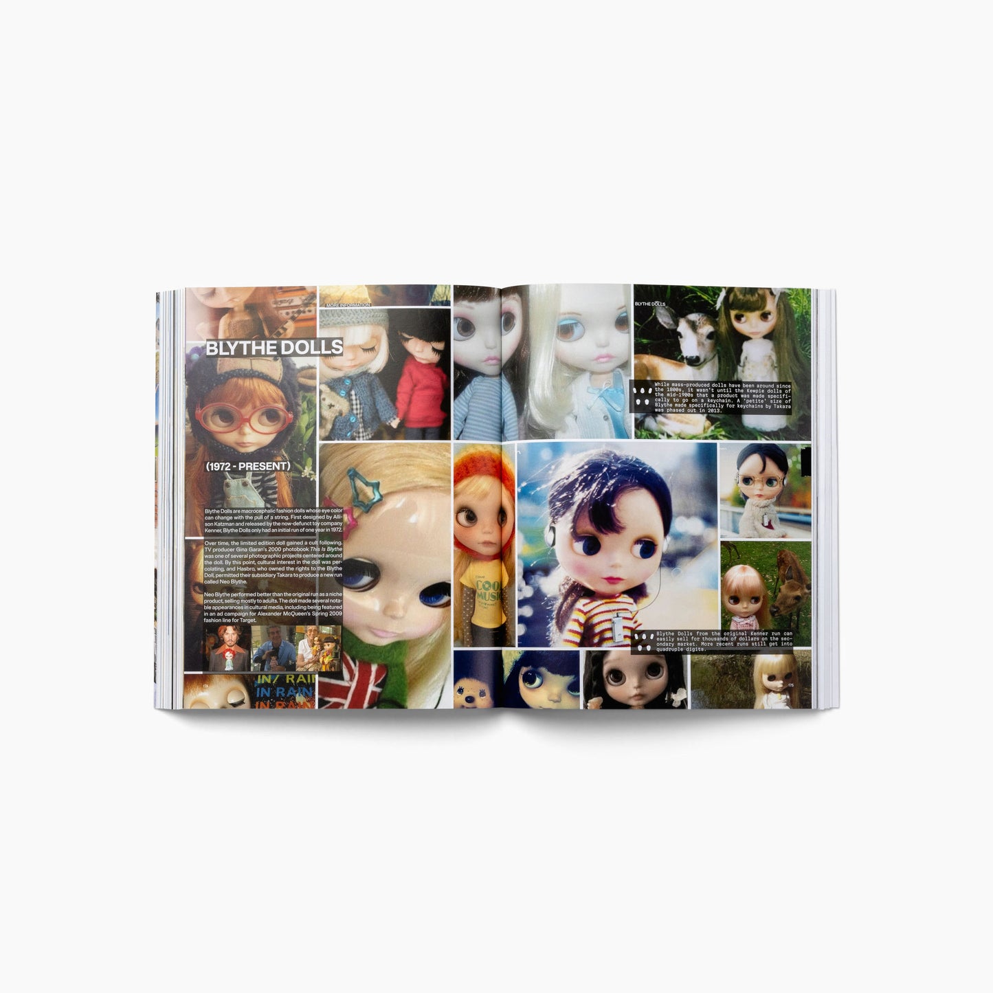 More Information Book 2025